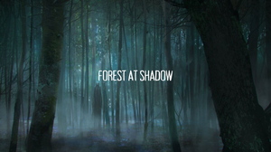play Forest At Shadow