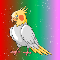 play G2J Release The Cockatiel Bird