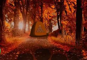 play Wild White Turkey Escape