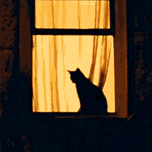 play Gatuno