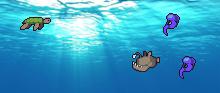 play Turtle Run