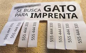 play Se Busca Gato Para Imprenta