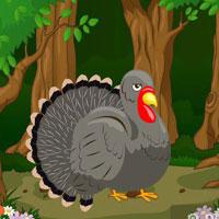 Black Turkey Jungle Escape game