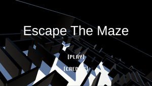 Escape The Maze