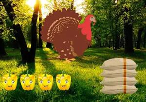 play Turkey Children Escape