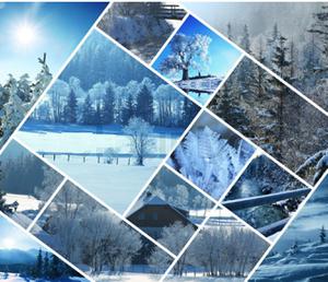 play Winter Quiz