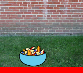 play Food Catcher
