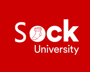 play Upmost Unique University Simulator