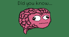 play Did You Know...