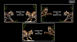 play Cats At Large