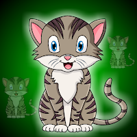G2J Cute Smile Cat Escape game