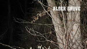 play Alder Grove