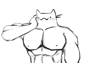 play Chubby Raccoon