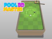 Pool Master 3D game