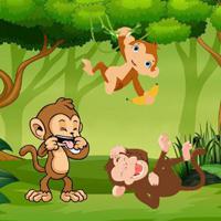 play Naughty Monkey Jungle Escape
