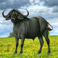 play Wow- Rescue The Village Buffalo
