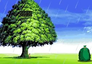 play Animals Escape From Rainforest