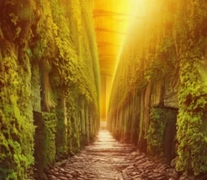 play The Labyrinth Of Twisting Vines