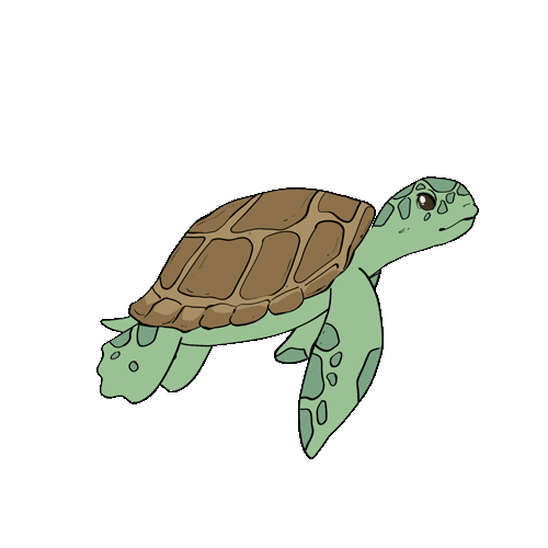 play Turtle Game