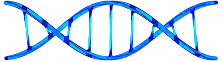 play Dna