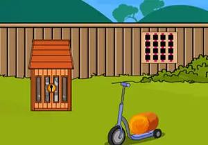 play Procyonid Escape