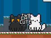 play Two Cat Cute