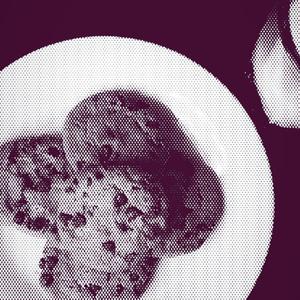 play Pick Up The Cookie And Sigh