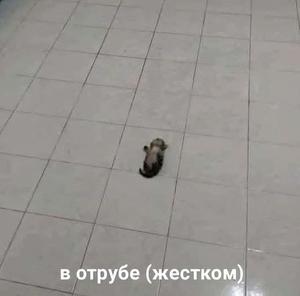 play Перо И Меч