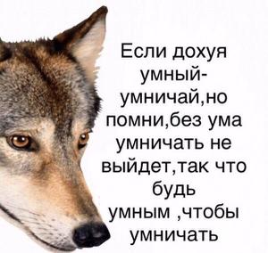 play Дохуя Умный?