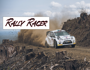 play Rally Racer