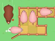 play Slide Puzzle: Piggy Move