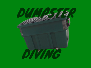 play Dumpster Diving