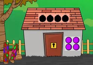 play White Crowned Hornbill Escape