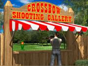 play Crossbow Shooting Gallery