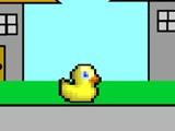 play Ducky Adventures