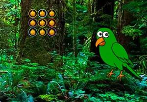 play Escape From Parrot Forest
