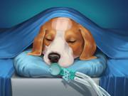 play Dog Hospital