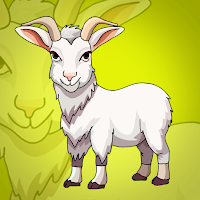 G2J White Alpine Goat Rescue