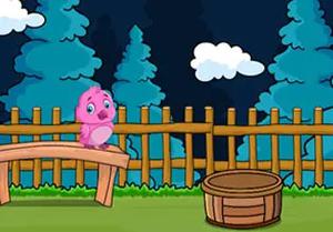 play Little Koala Bear Escape