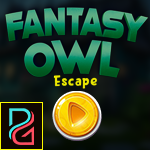Fantasy Owl Escape