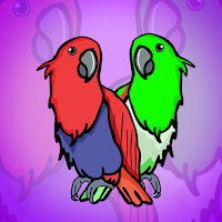 play G2J Eclectus Parrot Escape