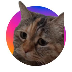play Cat Breakout (Test)