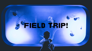 play Field Trip