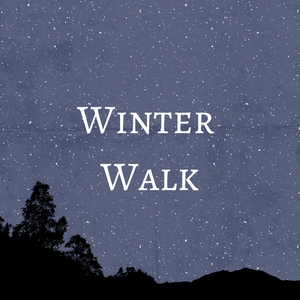 play Winter Walk
