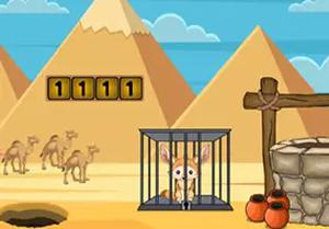 play Desert Fox Escape