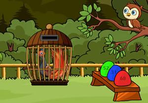 play Superb Lyrebird Rescue