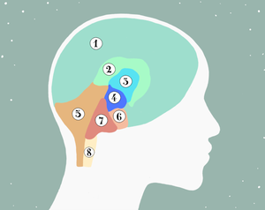 play Thebrain