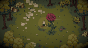 play Rose Of The Fox