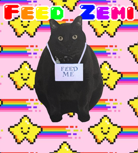 play Feedzemi