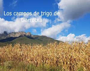 play Los Campos De Trigo De Garrotxa